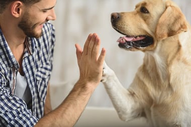 Improving Peer to Peer Recognition | Reward Gateway